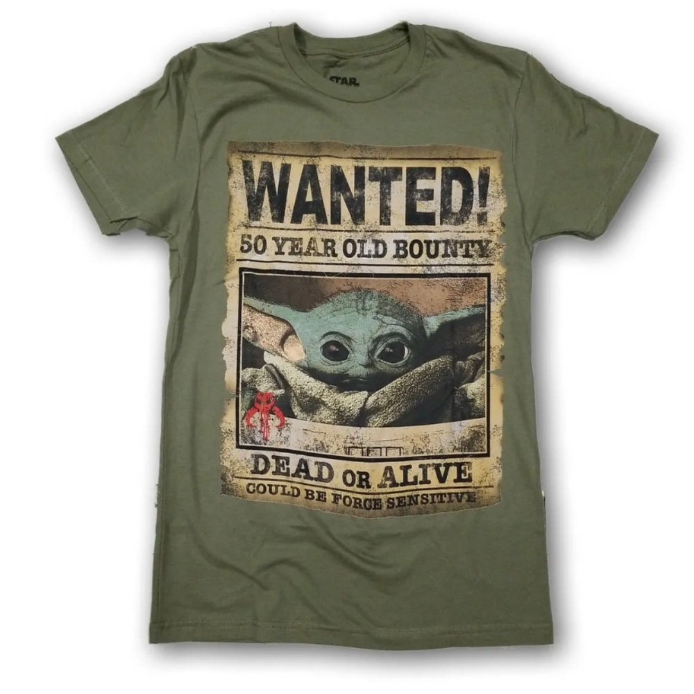 The Mandalorian Star Wars The Child